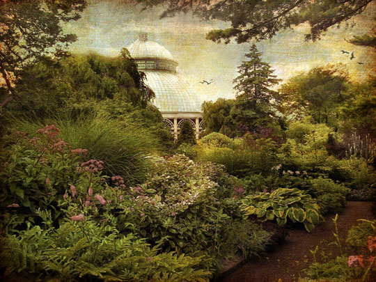 Victorian Spring photograph